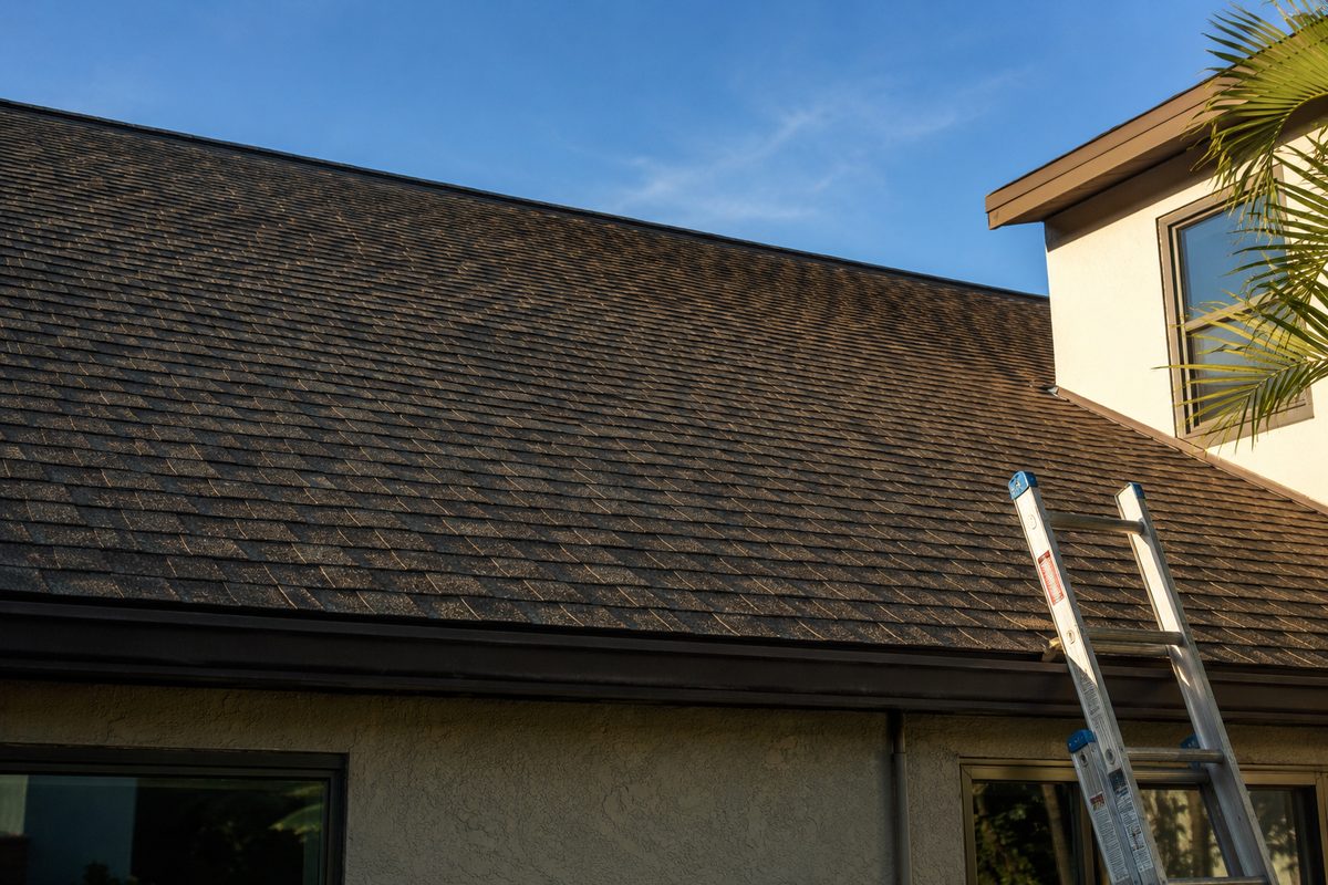An aging asphalt-shingle roof on a South Florida home beside a homeowners insurance renewal notice and an inspector's roof report